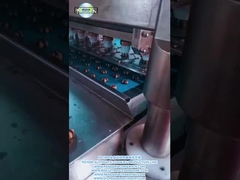 PD1000 FULLY AUTOMATIC DOUBLE COLOR COOKIES PRODUCTION LINE