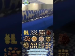 PD1200 ANIMAL SHAPE HARD BISCUIT PRODUCTION LINE