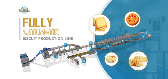 Industrial Biscuit Processing Line Cookies Making Machine 500 Kg / Hour High Speed Hard and Soft Biscuit Production Line