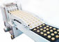 Multi Shape Biscuit Processing Line / Machine Commercial Biscuit Production Support
