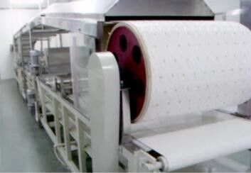 Full Automatic Swiss Roll and Layer Cake Production Line, Swiss Roll and Sliced Cake Processing Line Equipment