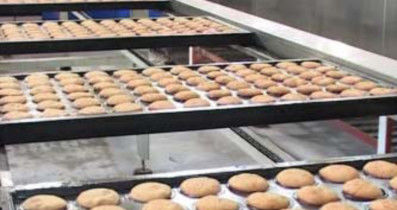 Semi Automatic Cake Machine
